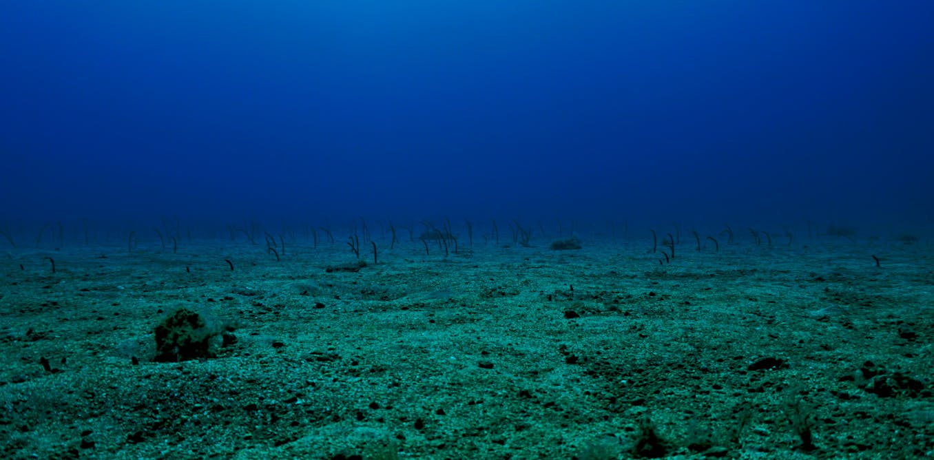 Seabed mining is becoming an environmental flashpoint – NZ will have to pick a side soon