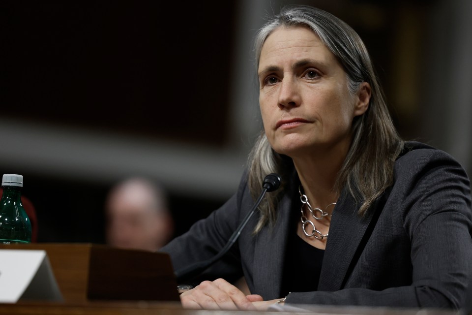Fiona Hill testifying before the Senate Armed Services Committee.