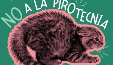 Decí NO a la pirotecnia...
