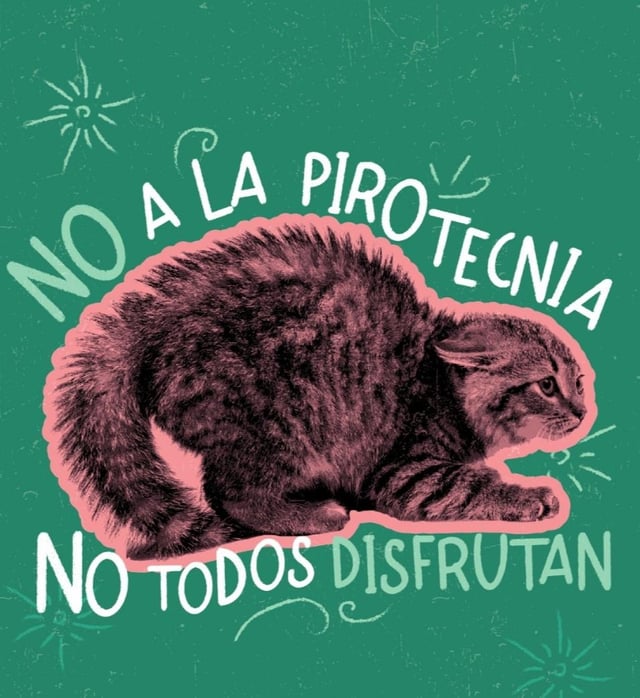Decí NO a la pirotecnia...