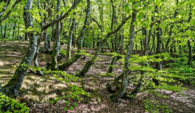 Klimarådet advarer: Historien viser, at frivillighed i landbruget ikke er noget, man kan regne med