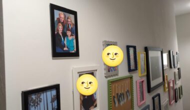 Day 1: The Battersbys on our downstairs toilet photo wall without the wife noticing.