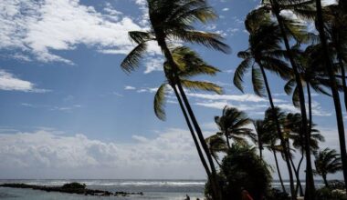 French scientists discover new blood type in Guadeloupe woman
