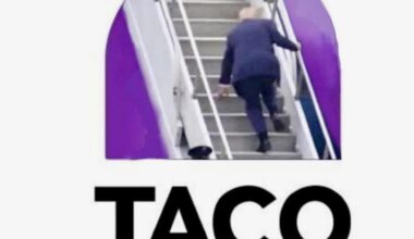 TACO FELON.