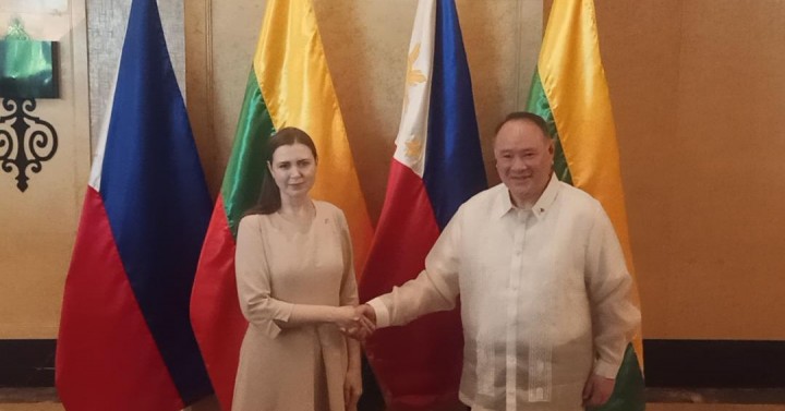 Defense chief sees stronger ties with Lithuania
