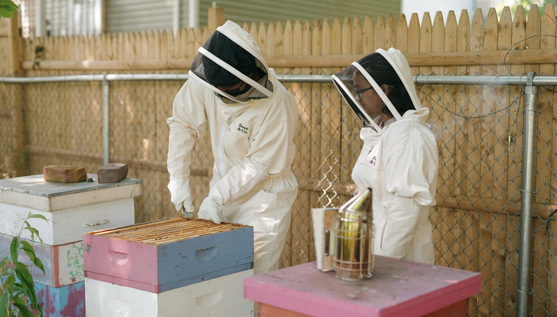 The Surprising Mental Health Benefits of Beekeeping