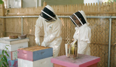 The Surprising Mental Health Benefits of Beekeeping