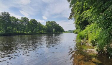 Went for a walk along the River Tweed yesterday