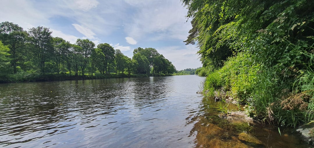 Went for a walk along the River Tweed yesterday