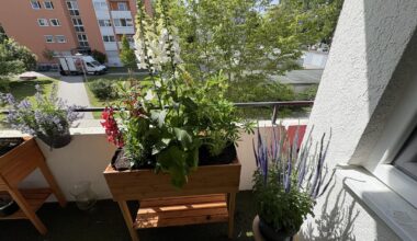 Neue Wohnung - Neuer Balkon