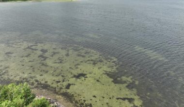 "En stor undladelsessynd": Heunicke erkender, at Miljøministeriet i årevis har brudt regler