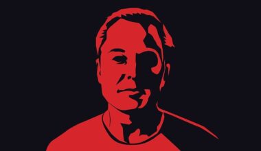 Democrats weigh whether to embrace Elon Musk’s criticism of GOP clean energy rollback