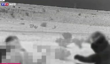 Guerre Israël-Iran : "Il y a une armée invisible israélienne sur le sol iranien"