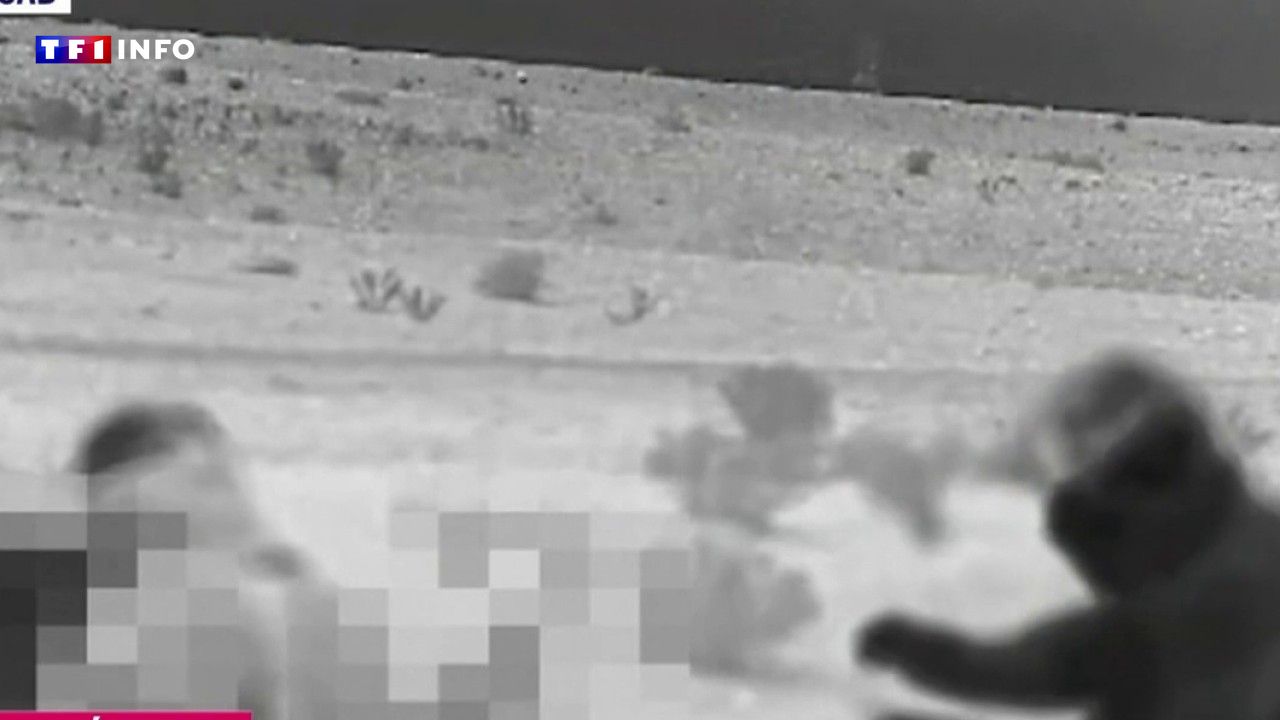 Guerre Israël-Iran : "Il y a une armée invisible israélienne sur le sol iranien"