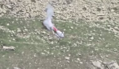 A helicopter crashed in Switzerland