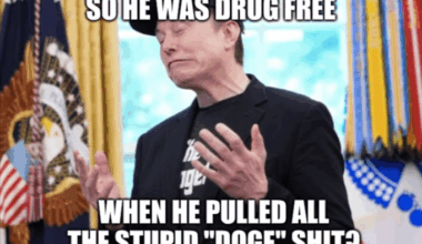Musk shares what appears to be a "clean" drug test.