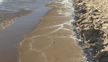 Beaches in Spain's Valencia region closed after "unknown material" washes ashore