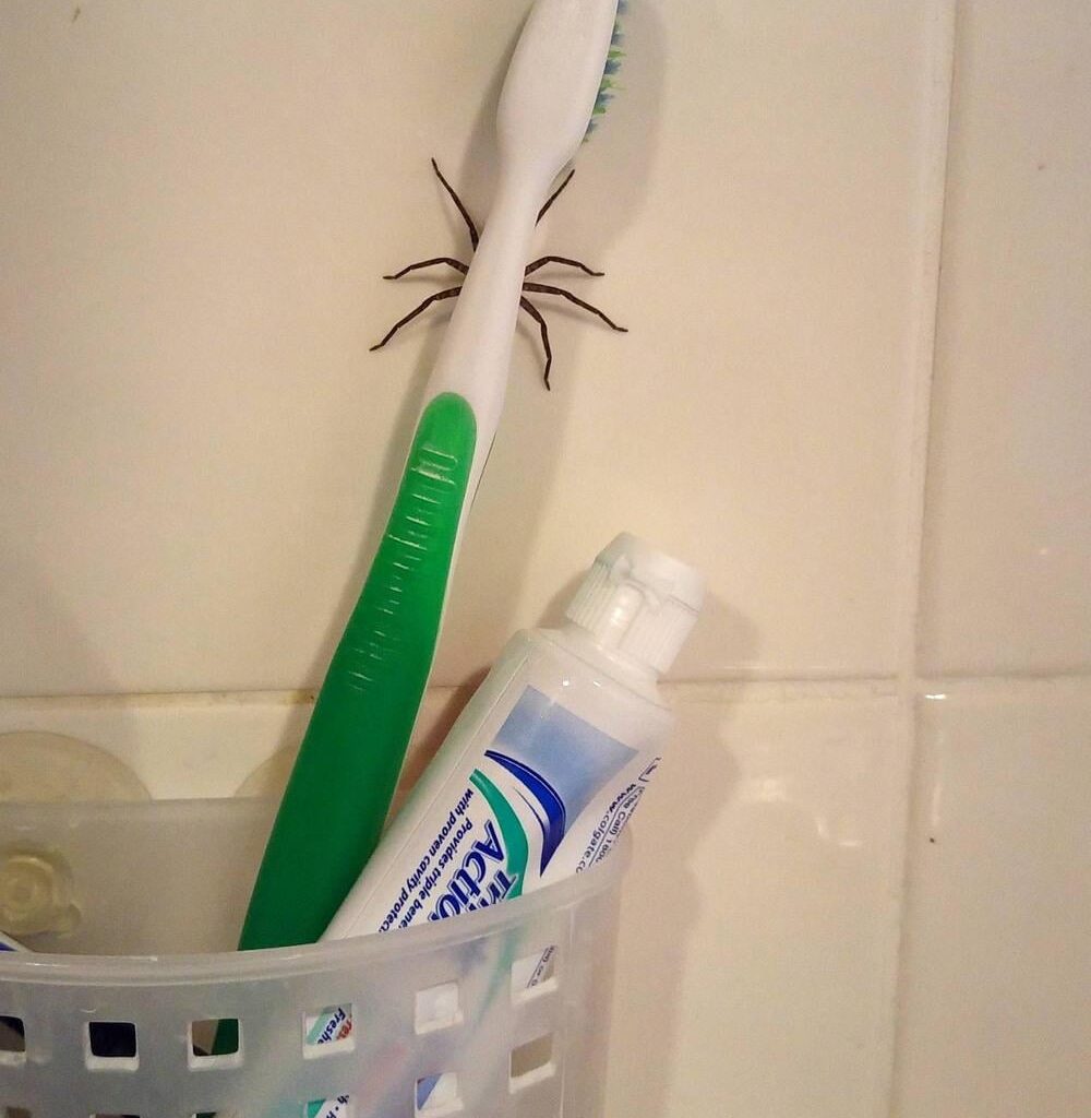 you see this first thing in the morning, what do you do?