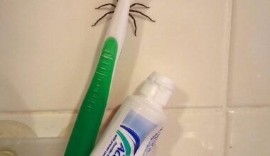you see this first thing in the morning, what do you do?