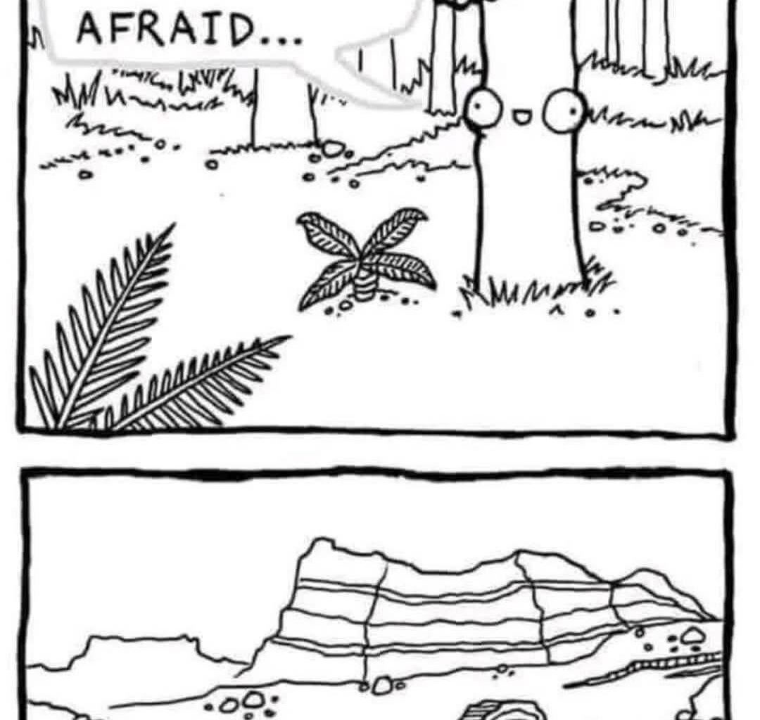 F-F-Friday Fread (6 June 25)