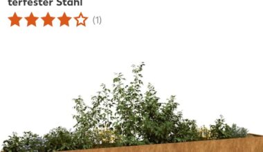Balkon hochbeet… Ich glaube ich hab verkackt