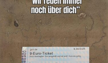 9 Euro Ticket