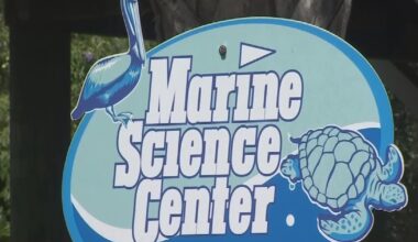 Volusia County’s Marine Science Center reopening after $4.2M Renovation – WFTV