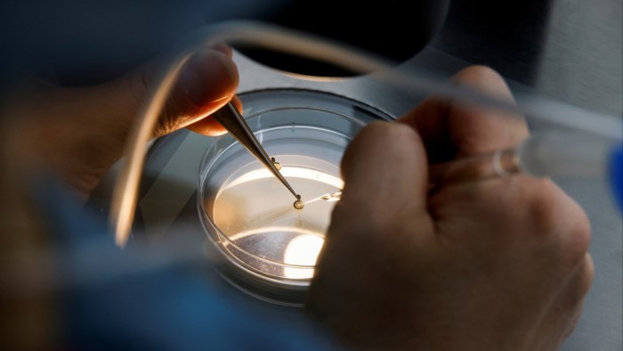 Eggs in a petri dish at a Fertility Research lab