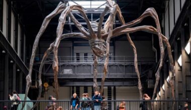 Interior view of the artwork ‘Maman’ by Louise Bourgeois at Tate Modern gallery of contemporary art in London, United Kingdom. This sculpture of a giant mother spider was the first exhibit commission in the Turbine Hall when Tate Modern opened for the first time 25 years ago