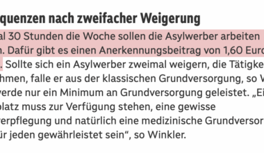 Arbeitspflicht für Asylwerber im Burgenland: 10 Stunden pro Woche fände ich ja fair aber 30h arbeiten für 1,60/h ist halt schon Sklaverei