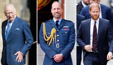 Composite of pictures of King Charles, Prince William and Prince Harry respectively in 2025