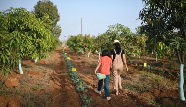Empowering women in green business