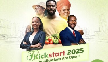 International Breweries PLC Foundation Kickstart Entrepreneurship Programme 2025 for young Nigerians (3 Million Naira Business Grants, Training, and Mentorship)