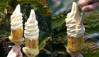 Did You Know South Korea Has A Grilled Corn Ice Cream Where A Scoop Is Served On A Bhutta?