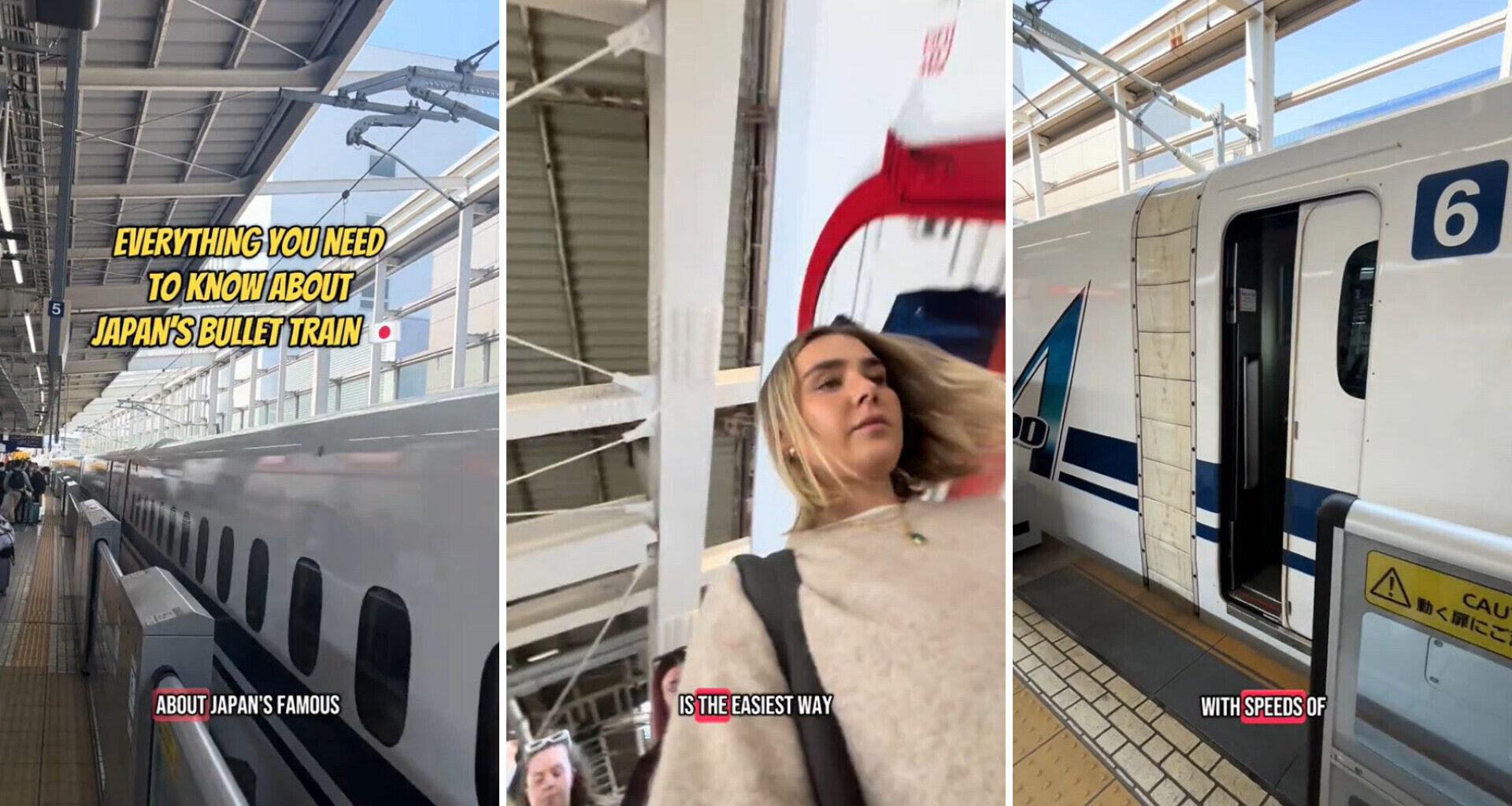 "The carriages are spacious and comfortable."