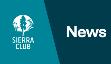 New Report: Global Bank Financing of Fossil Fuels Totals $869B In 2024, A Dramatic Increase In Financing