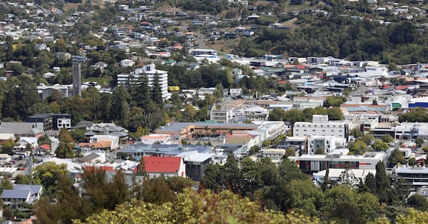 'Intensification on steroids': Nelson housing plan rejected