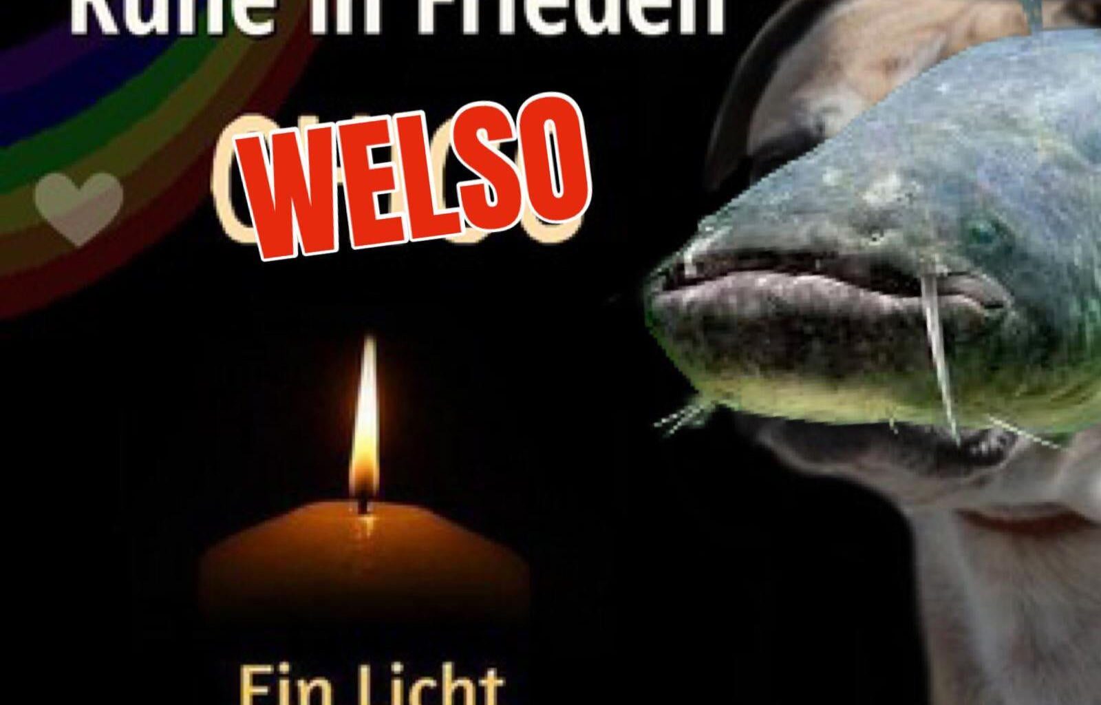 ich🎗️iel