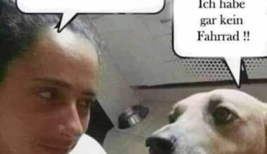 Jetzt hol dem armen Hund endlich ein Fahrrad