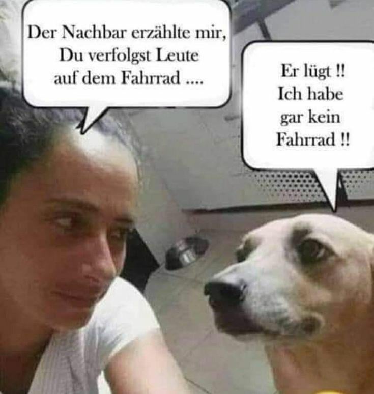 Jetzt hol dem armen Hund endlich ein Fahrrad