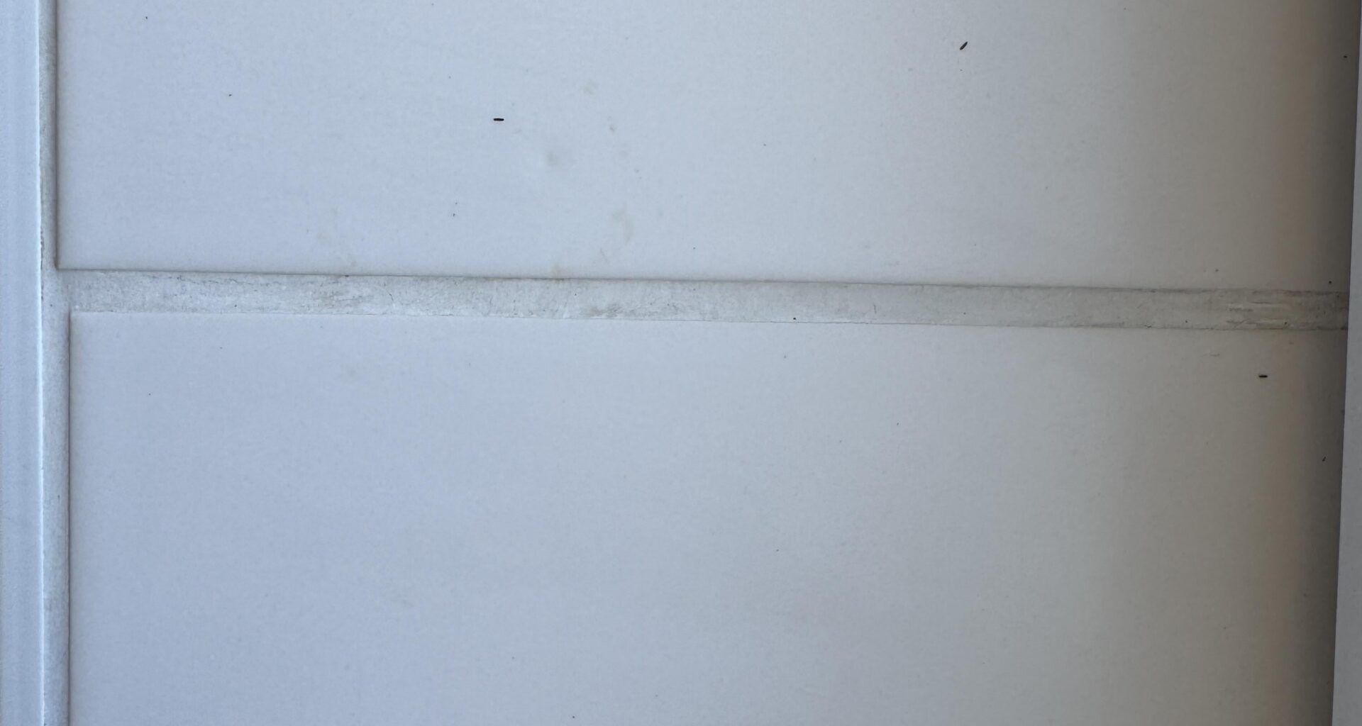 What are these? They’re always here during the day and stick in our towels but then they’re gone at night