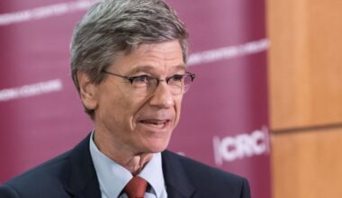 Ukraine has potential for a diversified economy if peace is achieved, says U.S. economist Sachs