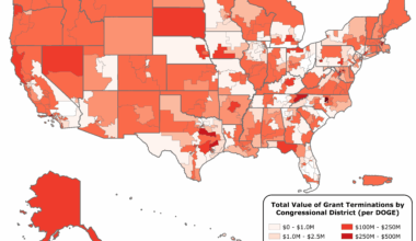 Dollar Value of DOGE Cuts to US Federal Grant Programs by Congressional District [OC]