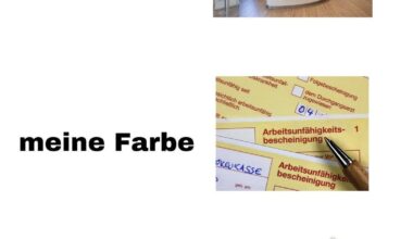 ich👩🏻‍🎨iel