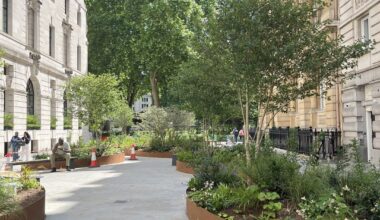Finsbury Circus gardens springing back to life