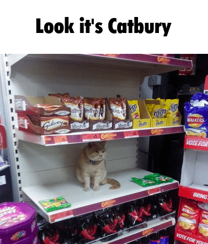 This will sell so well
