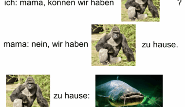 ich🐒iel