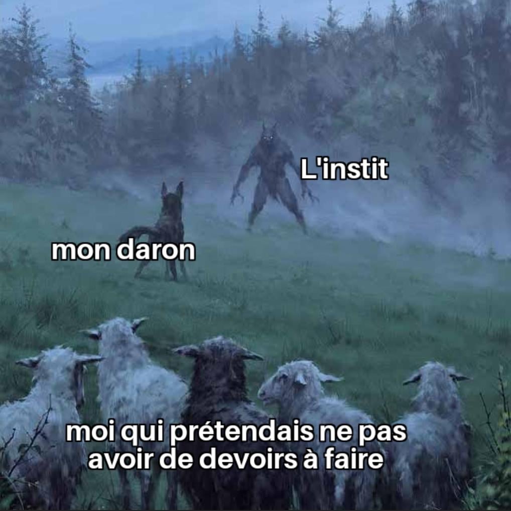 Vous ferez de l'exercice 2 à 26 de la page 38.