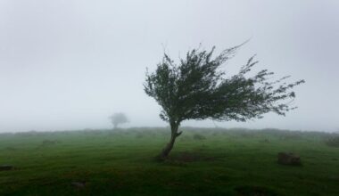 Storms to hit Switzerland, high risk warnings in some regions