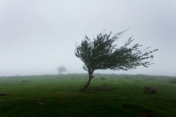 Storms to hit Switzerland, high risk warnings in some regions